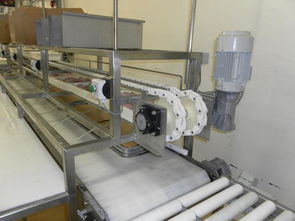 食品生產線圖片,食品生產線高清圖片 中山市東升鎮金諾泰機械設備廠,